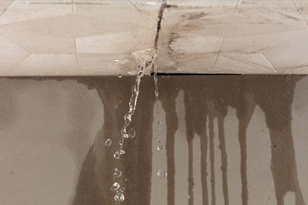 Professional Structural Drying technician working in Knob Noster, MO